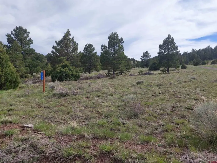 01195 Rito Hondo Rd, Antonito, CO 81120 - #2