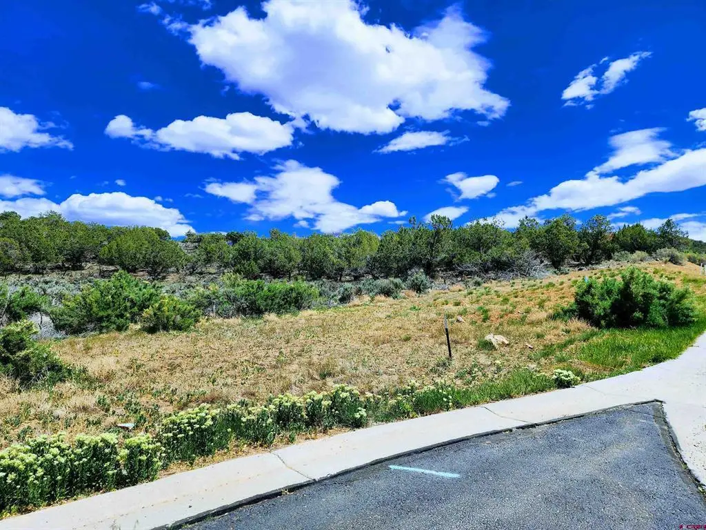 605 & 615 SE Pine Street, Cedaredge, CO 81413 - #1