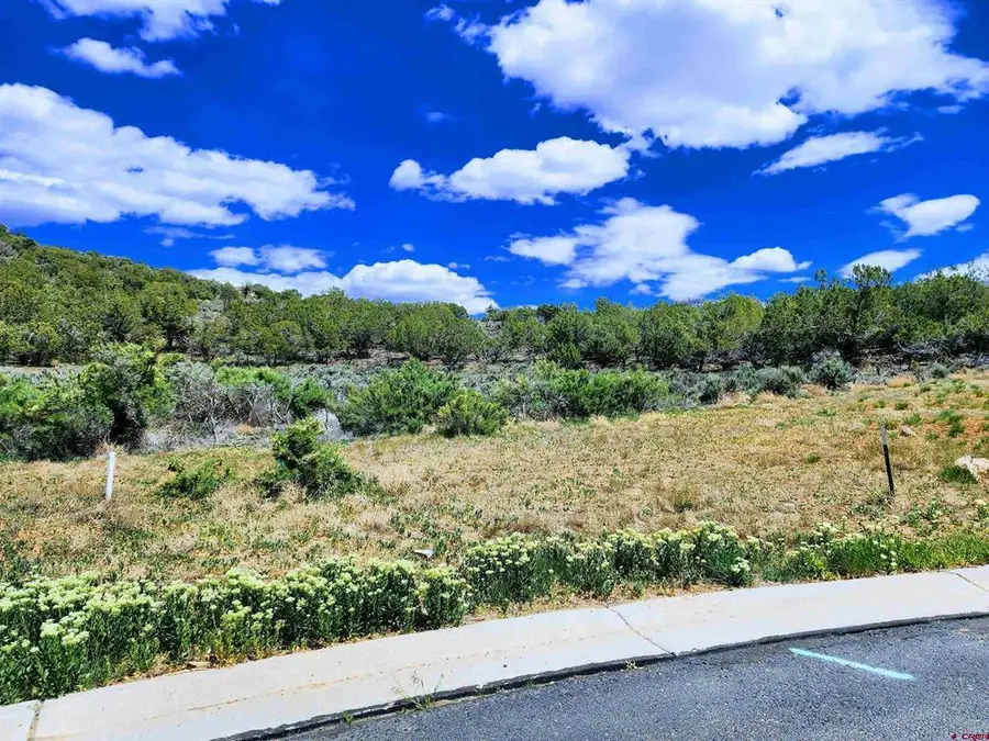 605 & 615 SE Pine Street, Cedaredge, CO 81413 - #2