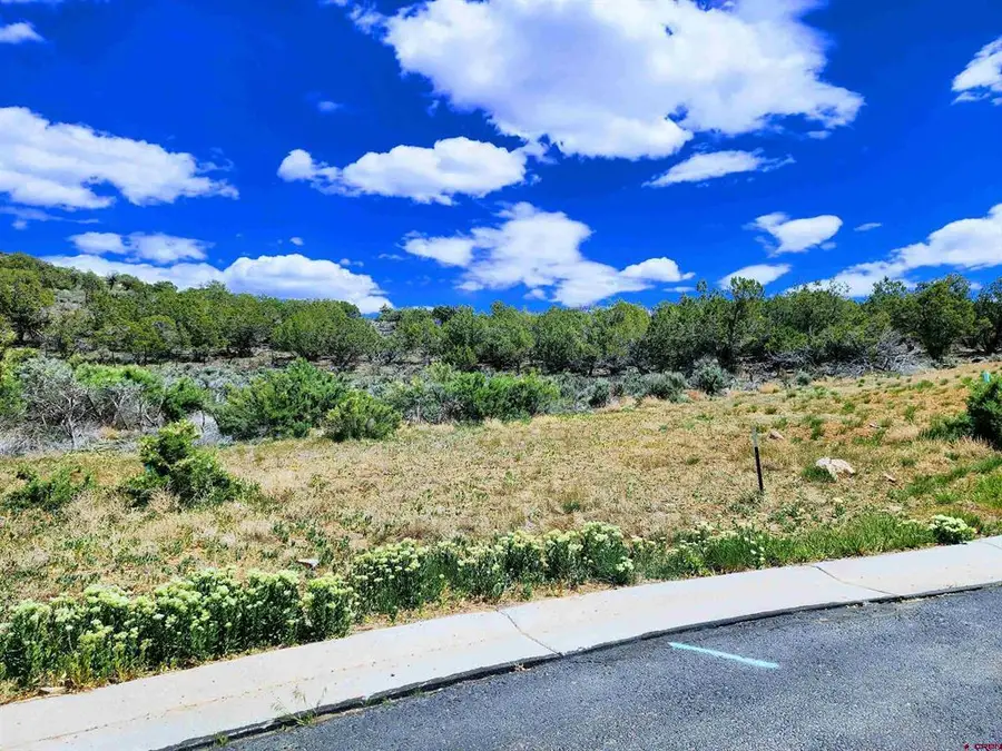 605 & 615 SE Pine Street, Cedaredge, CO 81413 - #3