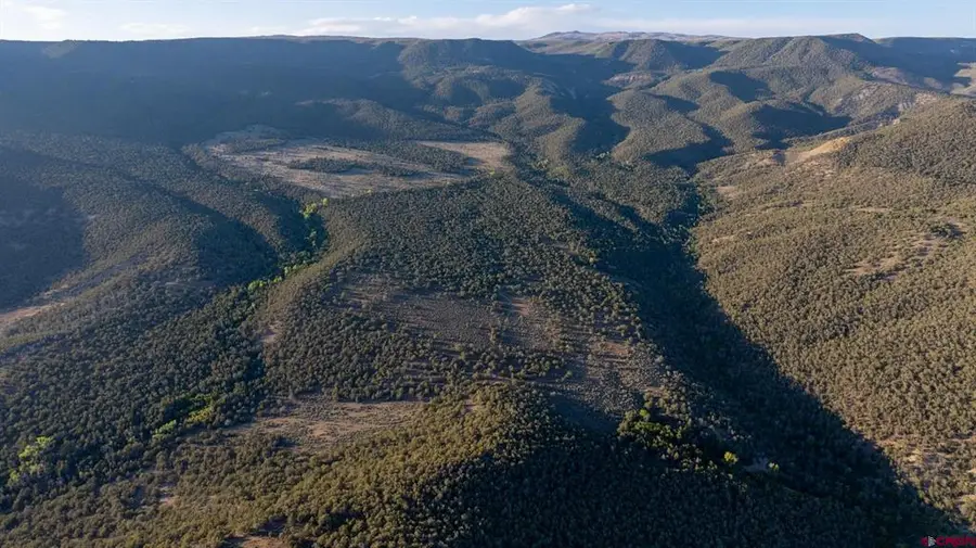 TBD Mystic Mesa Rd Road, Hotchkiss, CO 81419 - #2