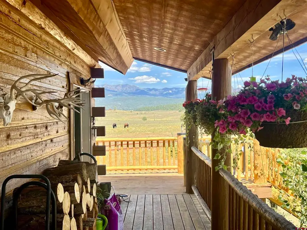 2439 County Road 359, Pagosa Springs, CO 81147 - #1