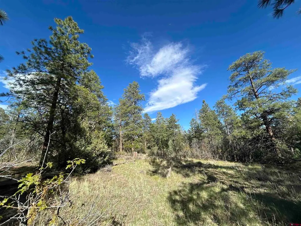 1333 Doc Adams Road, Pagosa Springs, CO 81147 - #1