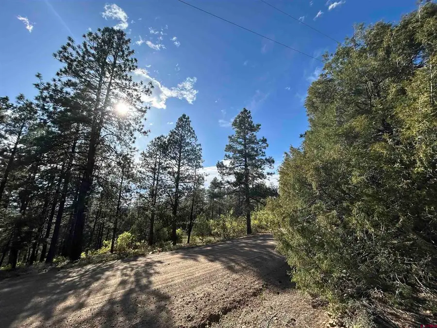 1333 Doc Adams Road, Pagosa Springs, CO 81147 - #3