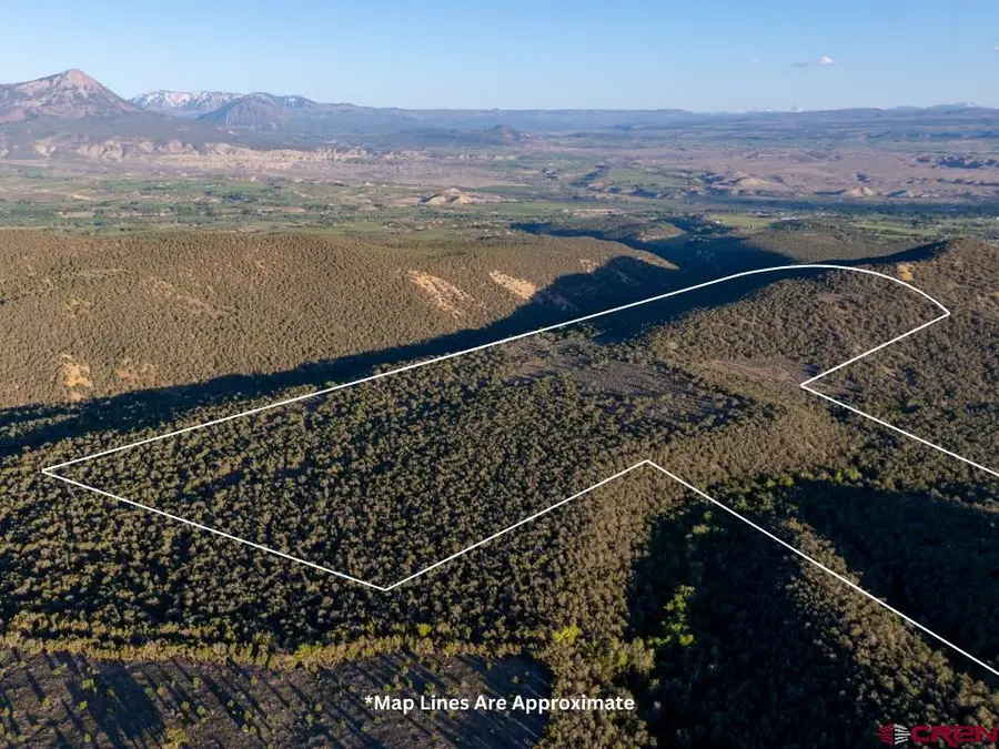 TBD Powell Mesa Road, Hotchkiss, CO 81419 - #3
