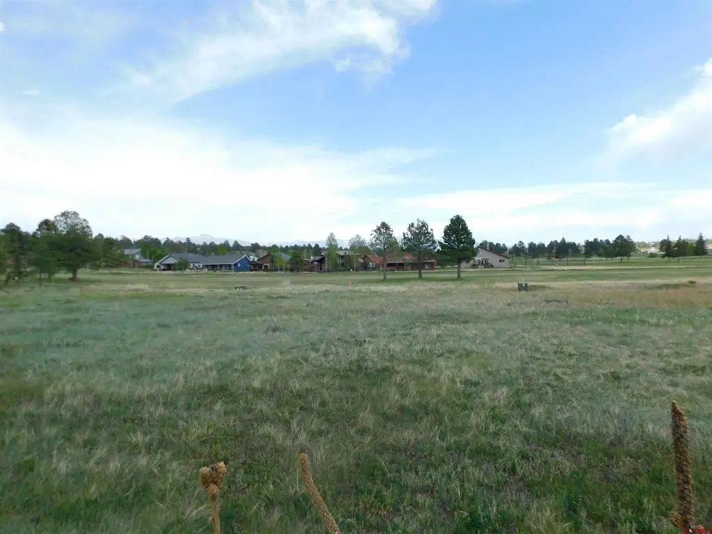 141 Pines Club Place, Pagosa Springs, CO 81147 - #1