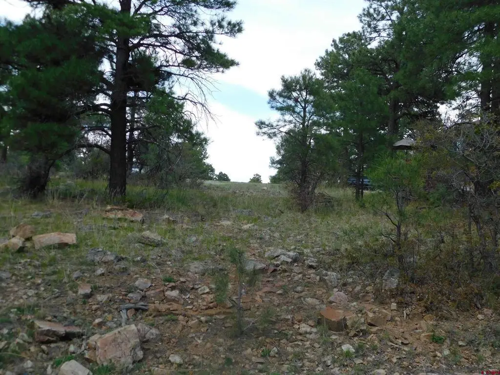 49 Masters Circle, Pagosa Springs, CO 81147 - #1