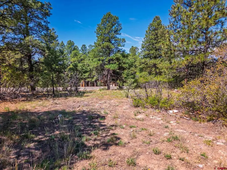 49 Masters Circle, Pagosa Springs, CO 81147 - #3