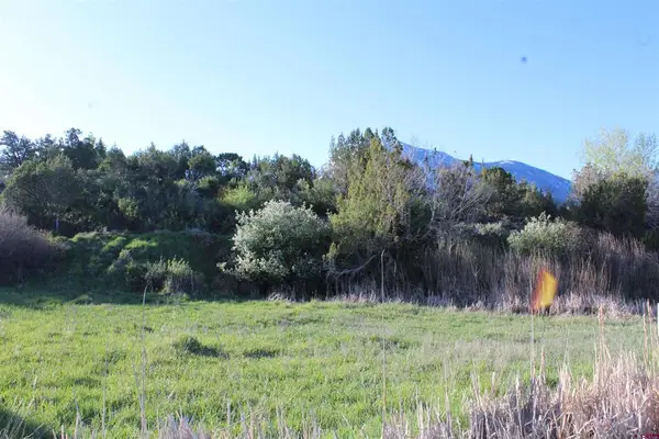 Lot 9 Gunnison Mountain Lane, Paonia, CO 81428