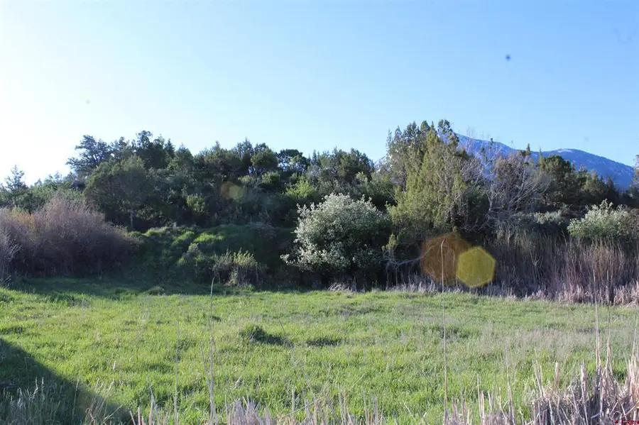Lot 9 Gunnison Mountain Lane, Paonia, CO 81428 - #2