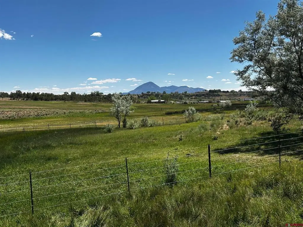 TBD Road V.3, Lewis, CO 81327 - #1
