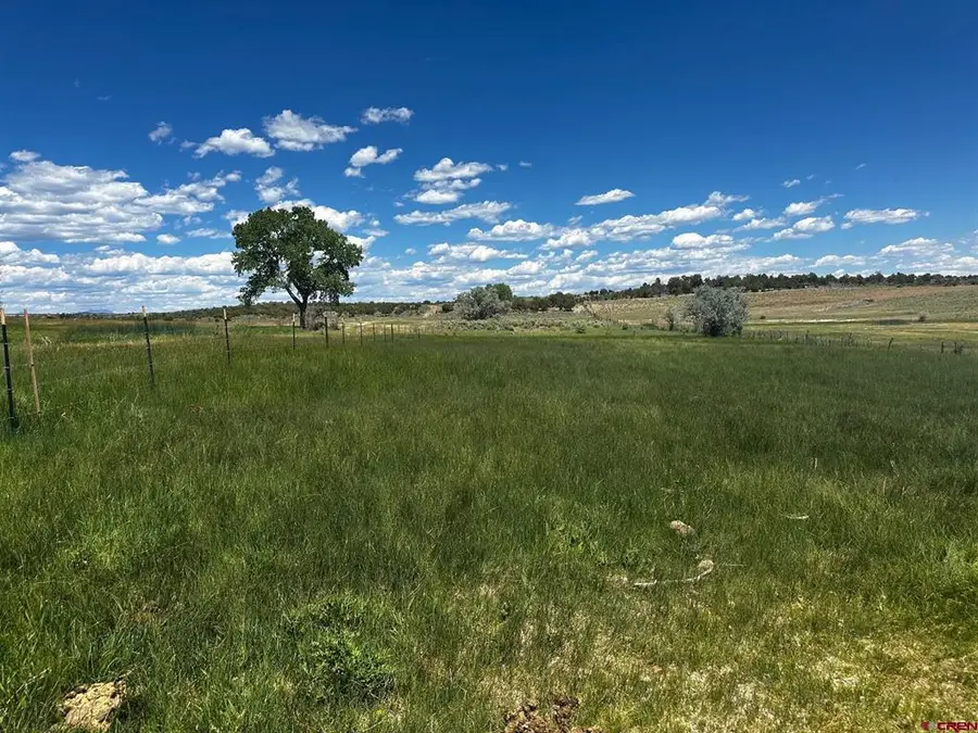 TBD Road V.3, Lewis, CO 81327 - #2