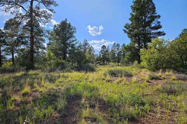 1305 Trails Boulevard, Pagosa Springs, CO 81147