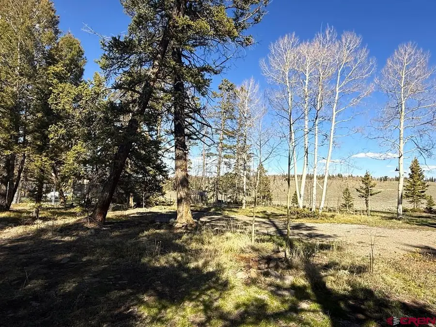 5333 Oso Creek Road, Powderhorn, CO 81243 - #3