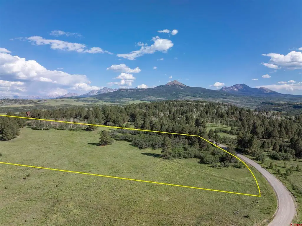 1151 Peninusla Drive, Placerville, CO 81430 - #1