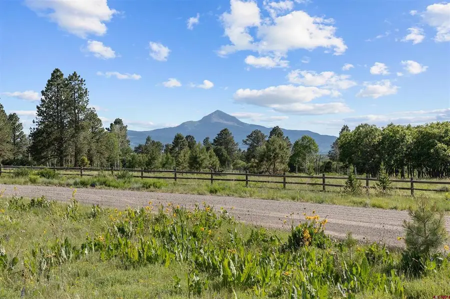 1151 Peninusla Drive, Placerville, CO 81430 - #2