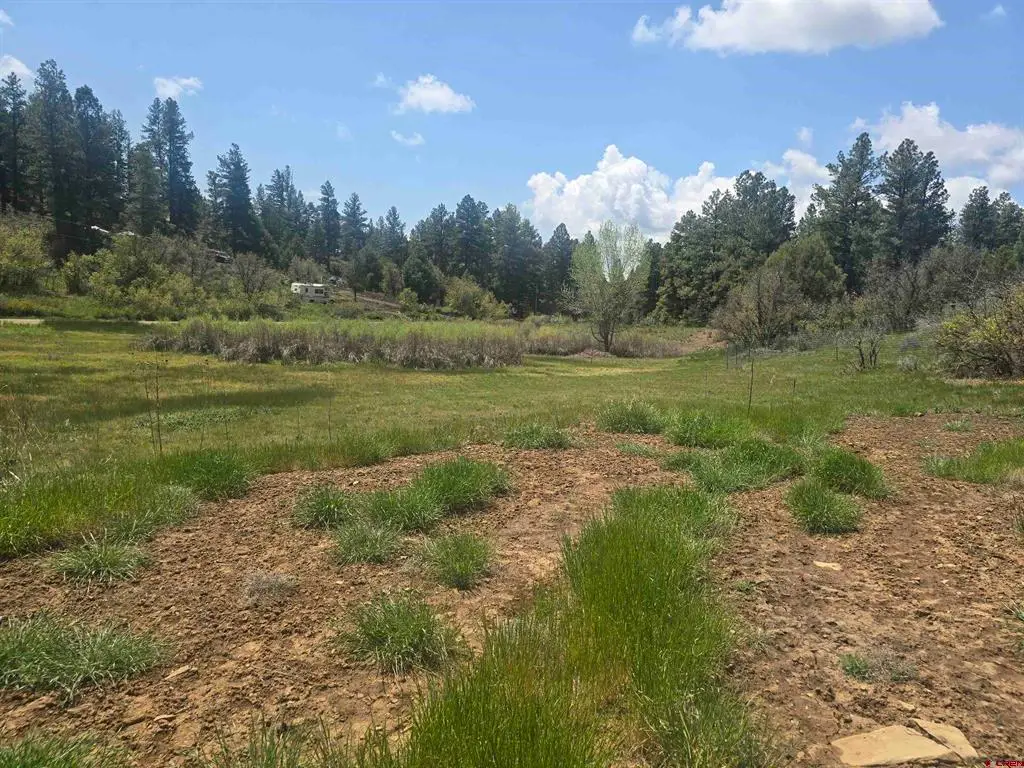 634 Cactus Drive, Pagosa Springs, CO 81147 - #1