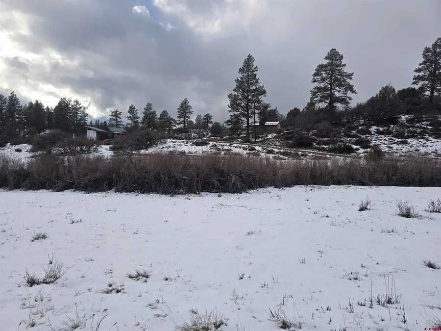 634 Cactus Drive, Pagosa Springs, CO 81147 - #3