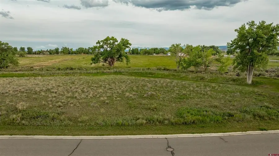 3302 Donnegal Drive, Montrose, CO 81401 - #2