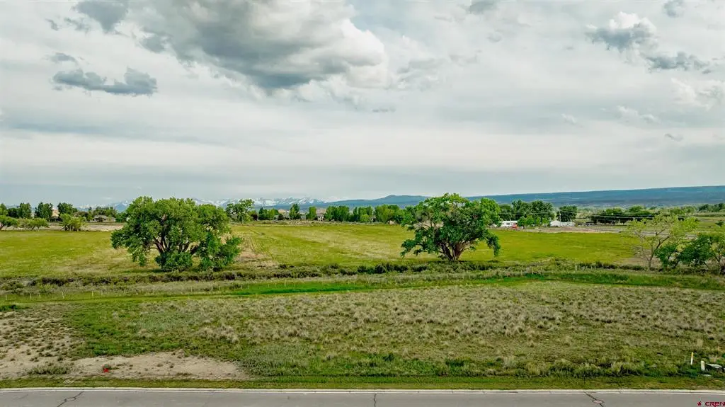 3310 Donnegal Drive, Montrose, CO 81401 - #1