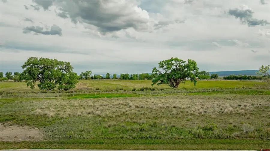3310 Donnegal Drive, Montrose, CO 81401 - #2