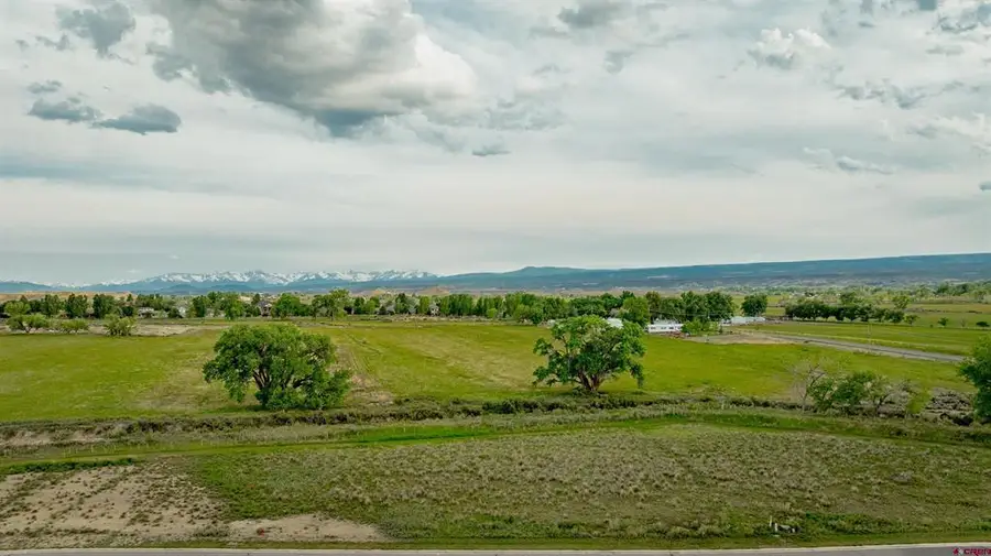 3310 Donnegal Drive, Montrose, CO 81401 - #3