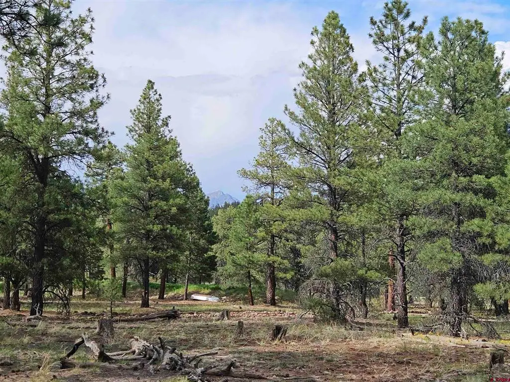 155 Monterosa Court, Pagosa Springs, CO 81147 - #1