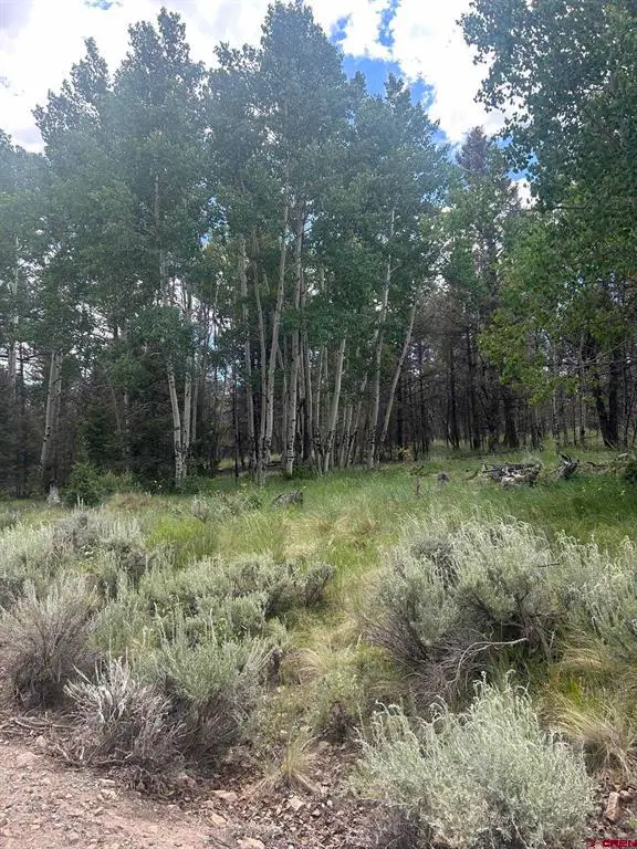 522 Monarch Rd., Powderhorn, CO 81243 - #2