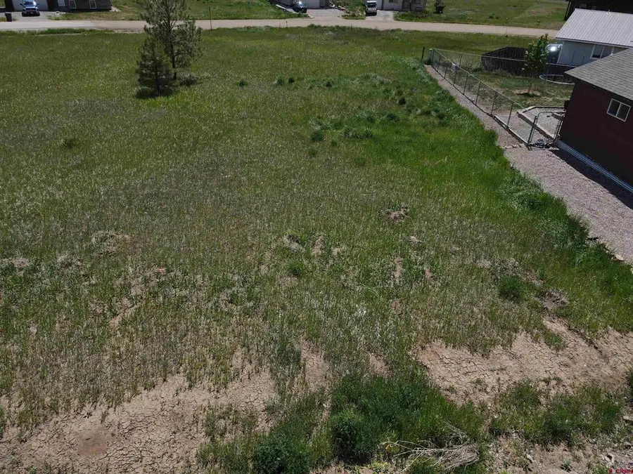 20 Lancer Court, Pagosa Springs, CO 81147 - #2