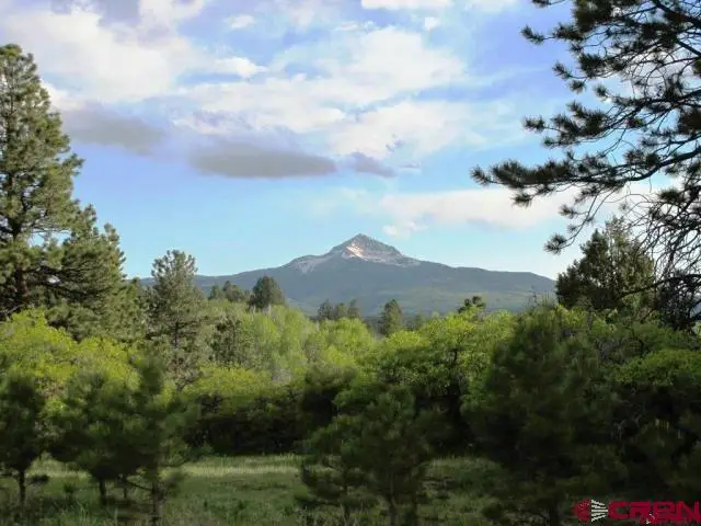TBD Peninsula Drive, Placerville, CO 81430 - #1