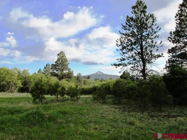 TBD Peninsula Drive, Placerville, CO 81430 - #3