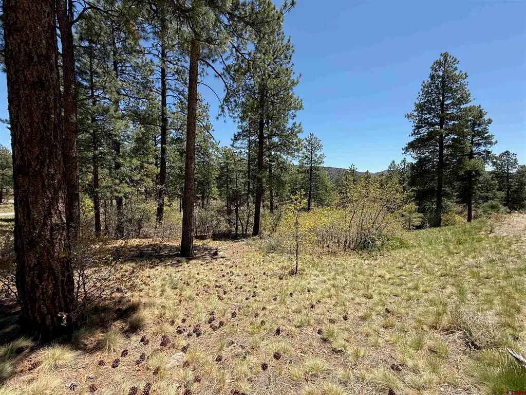 TBD Ventana Pass, Durango, CO 81301 - #1