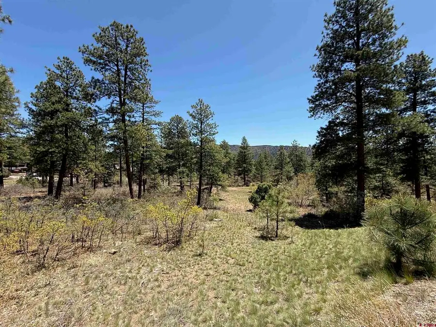 TBD Ventana Pass, Durango, CO 81301 - #3