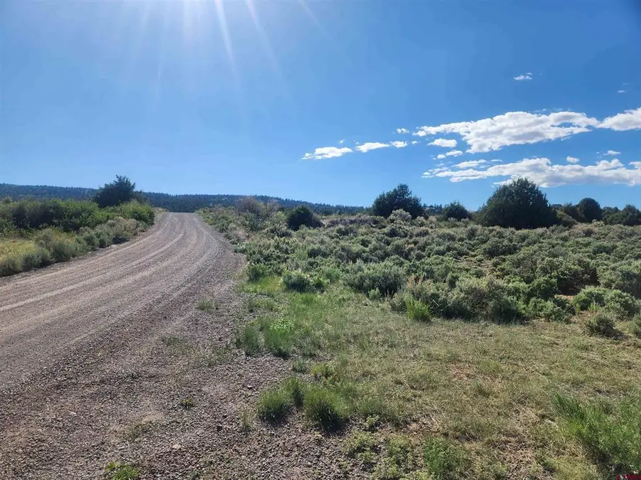 Lot 11 Conejos River Trails, Antonito, CO 81120 - #2