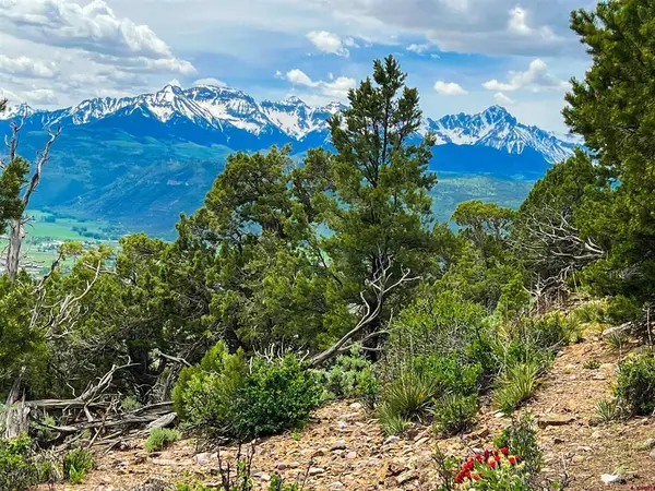 818 Pine Drive, Ridgway, CO 81432