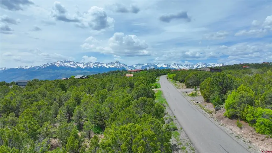 818 Pine Drive, Ridgway, CO 81432 - #2