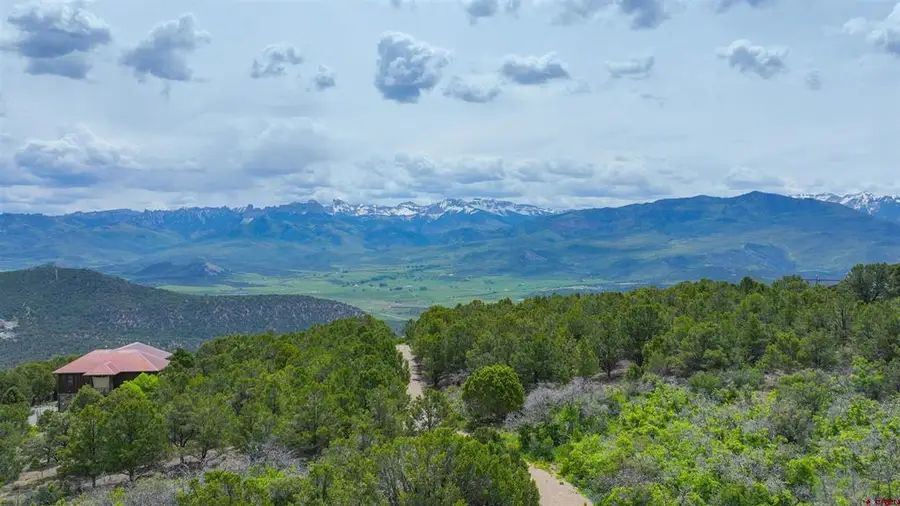 818 Pine Drive, Ridgway, CO 81432 - #3