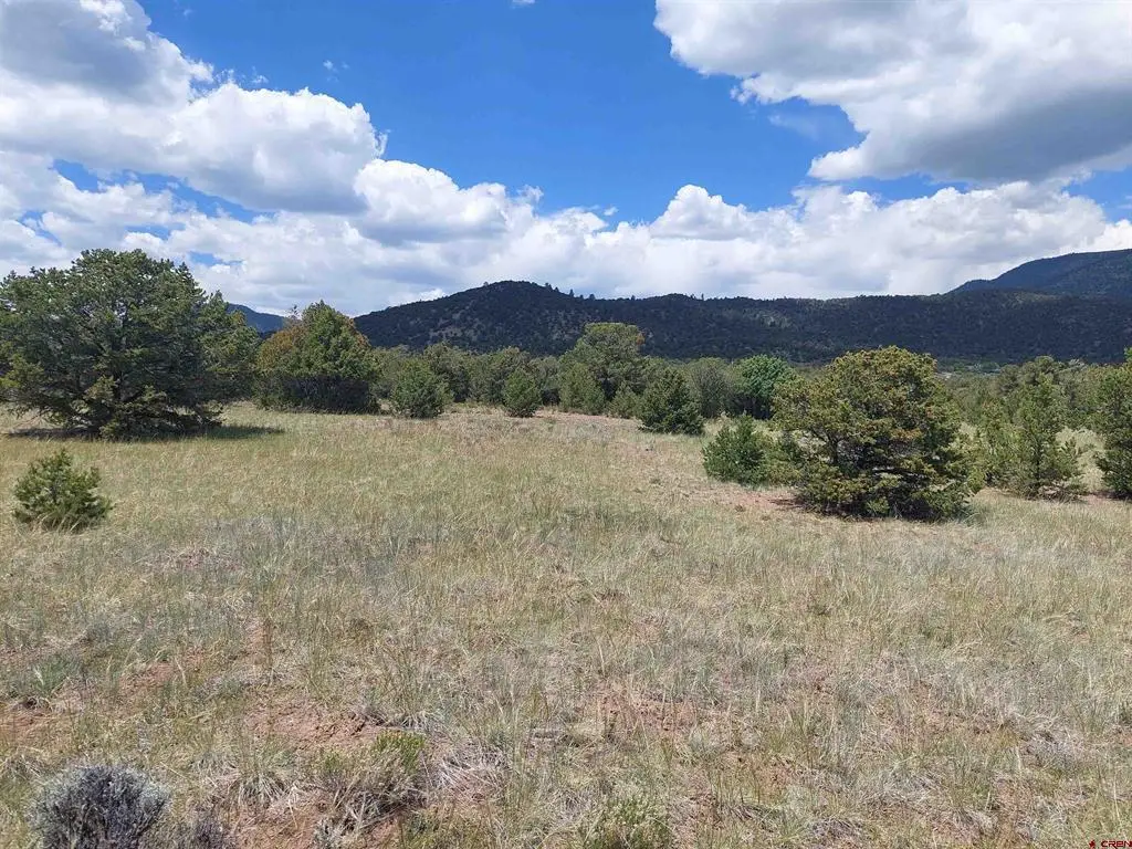 397 Rainbow Trl, South Fork, CO 81154 - #1