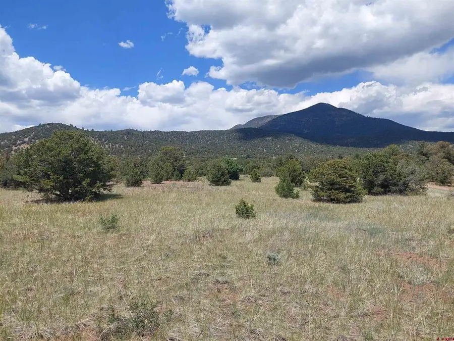 397 Rainbow Trl, South Fork, CO 81154 - #2