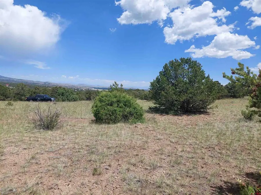 397 Rainbow Trl, South Fork, CO 81154 - #3