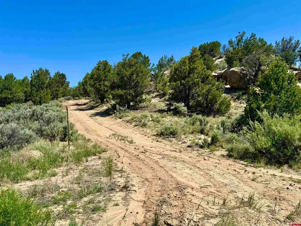 163 Cr 402 Road, Lindrith, NM 87029 - #1