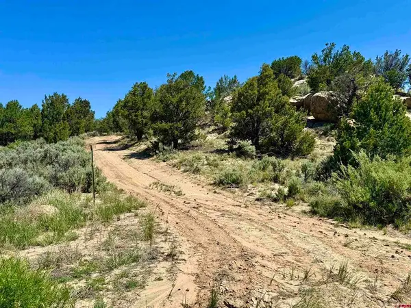163 Cr 402 Road, Lindrith, NM 87029