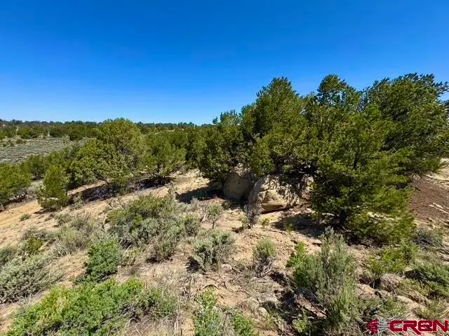 163 Cr 402 Road, Lindrith, NM 87029 - #2
