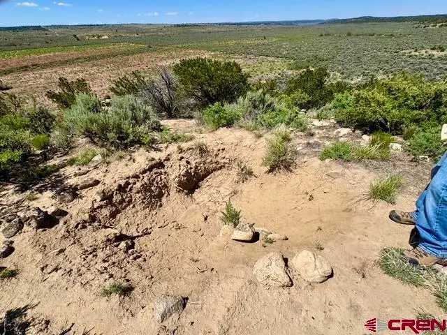 163 Cr 402 Road, Lindrith, NM 87029 - #3