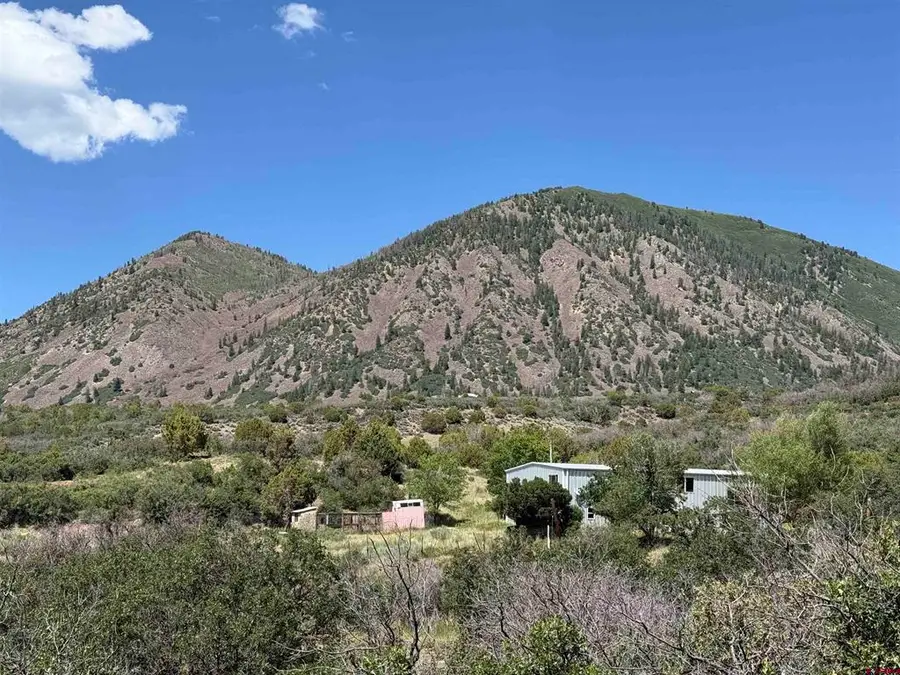 43867 Long Gulch Road, Crawford, CO 81415 - #2