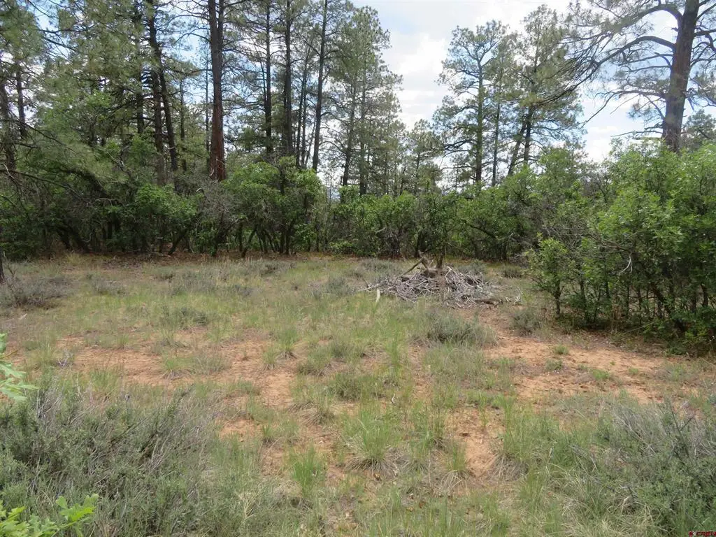710 Doc Adams Road, Pagosa Springs, CO 81147 - #1