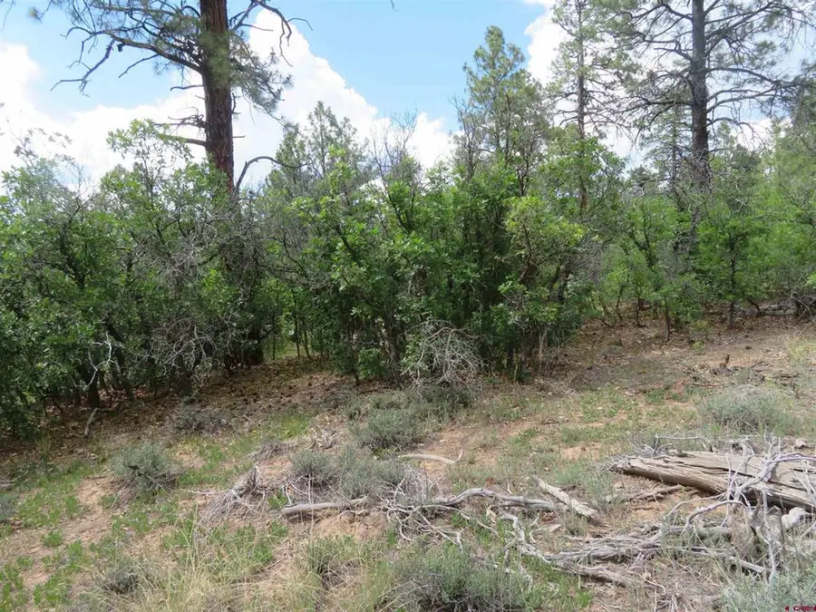 710 Doc Adams Road, Pagosa Springs, CO 81147 - #2