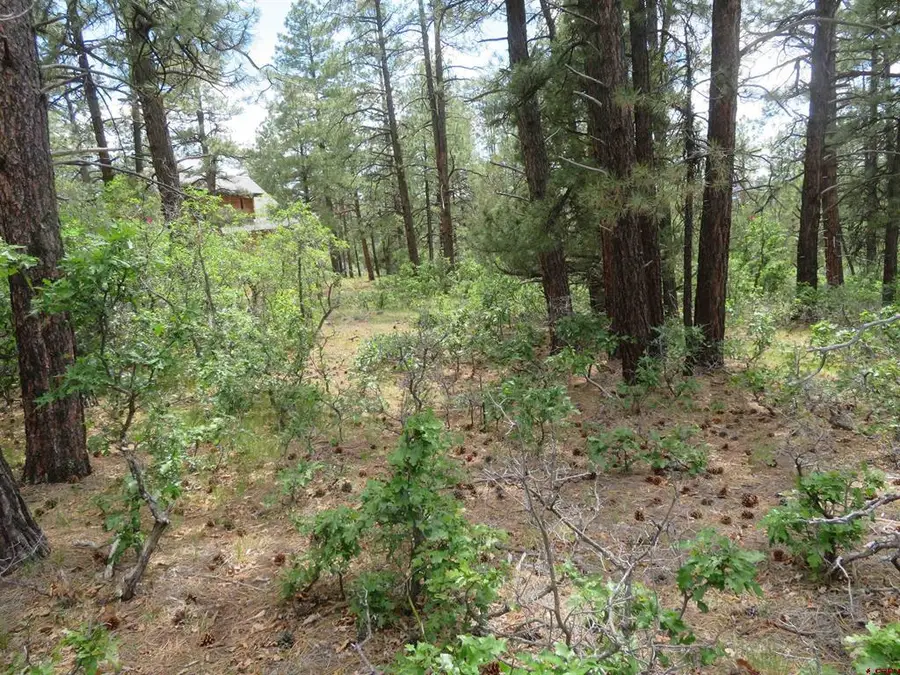 710 Doc Adams Road, Pagosa Springs, CO 81147 - #3