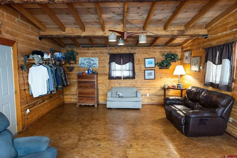 4650 Usfs Rd 516, Creede, CO 81130 - #3