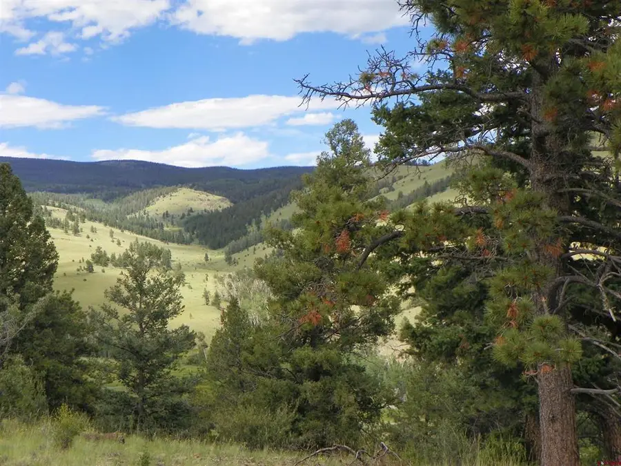 TBD County Rd 38-ee, Saguache, CO 81149 - #2